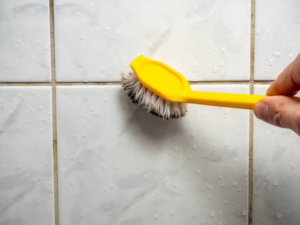 Best Office Mold Removal Services  in Woodfin, NC