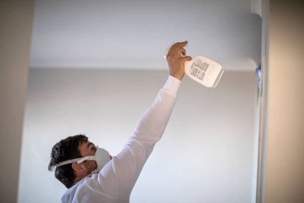 Best Mold Removal and Inspection  in Woodfin, NC