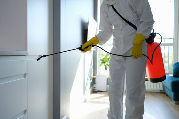 Best Mold Remediation  in Woodfin, NC