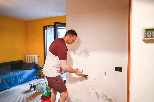 Mold Testing and Removal in Woodfin, NC