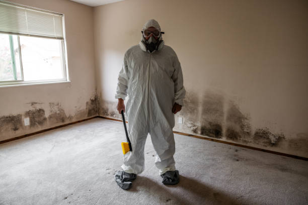 Best Home Mold Removal  in Woodfin, NC
